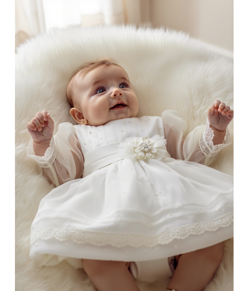 Vestido organza bordada...